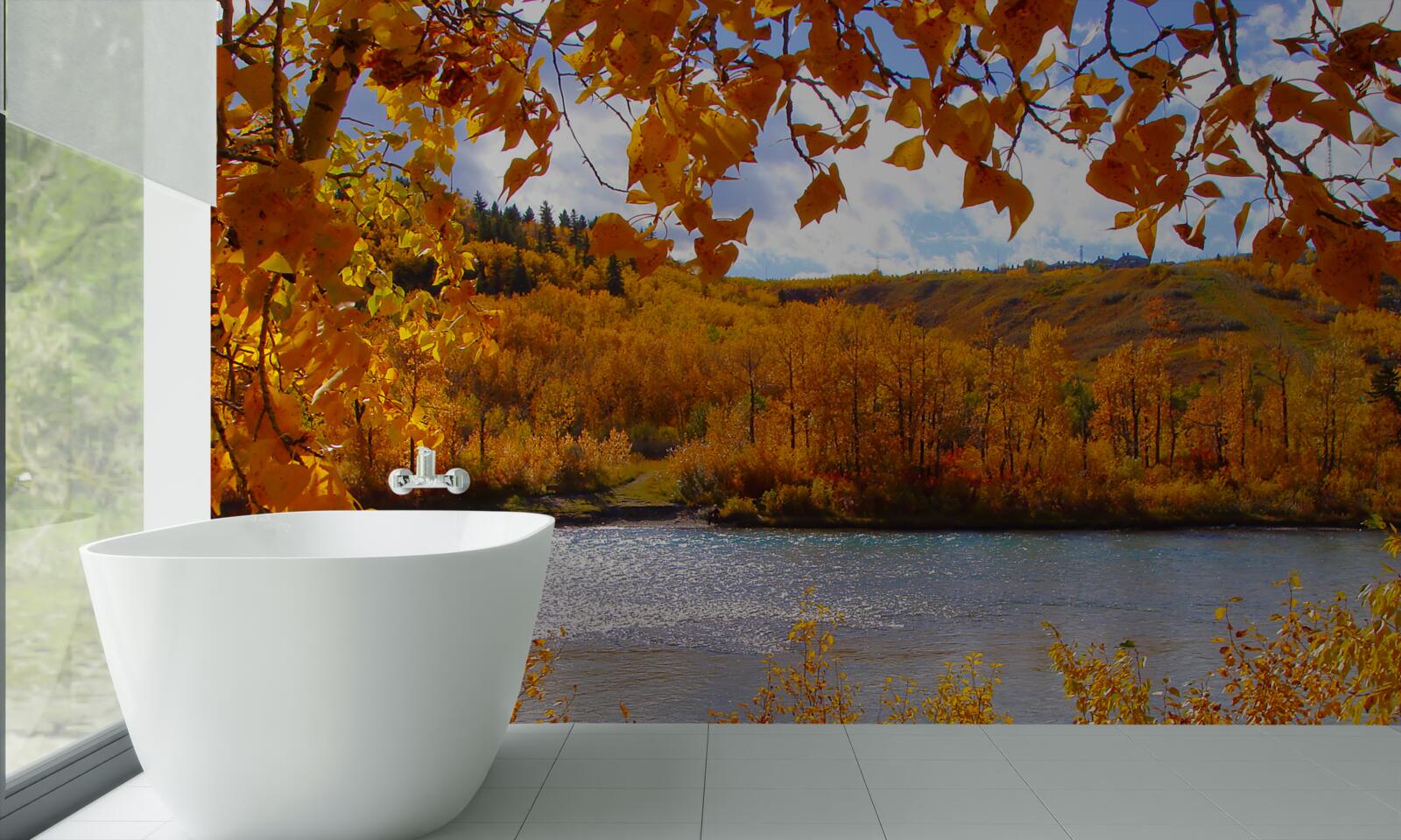 Papier peint automne doré dans la forêt dense près de la rivière