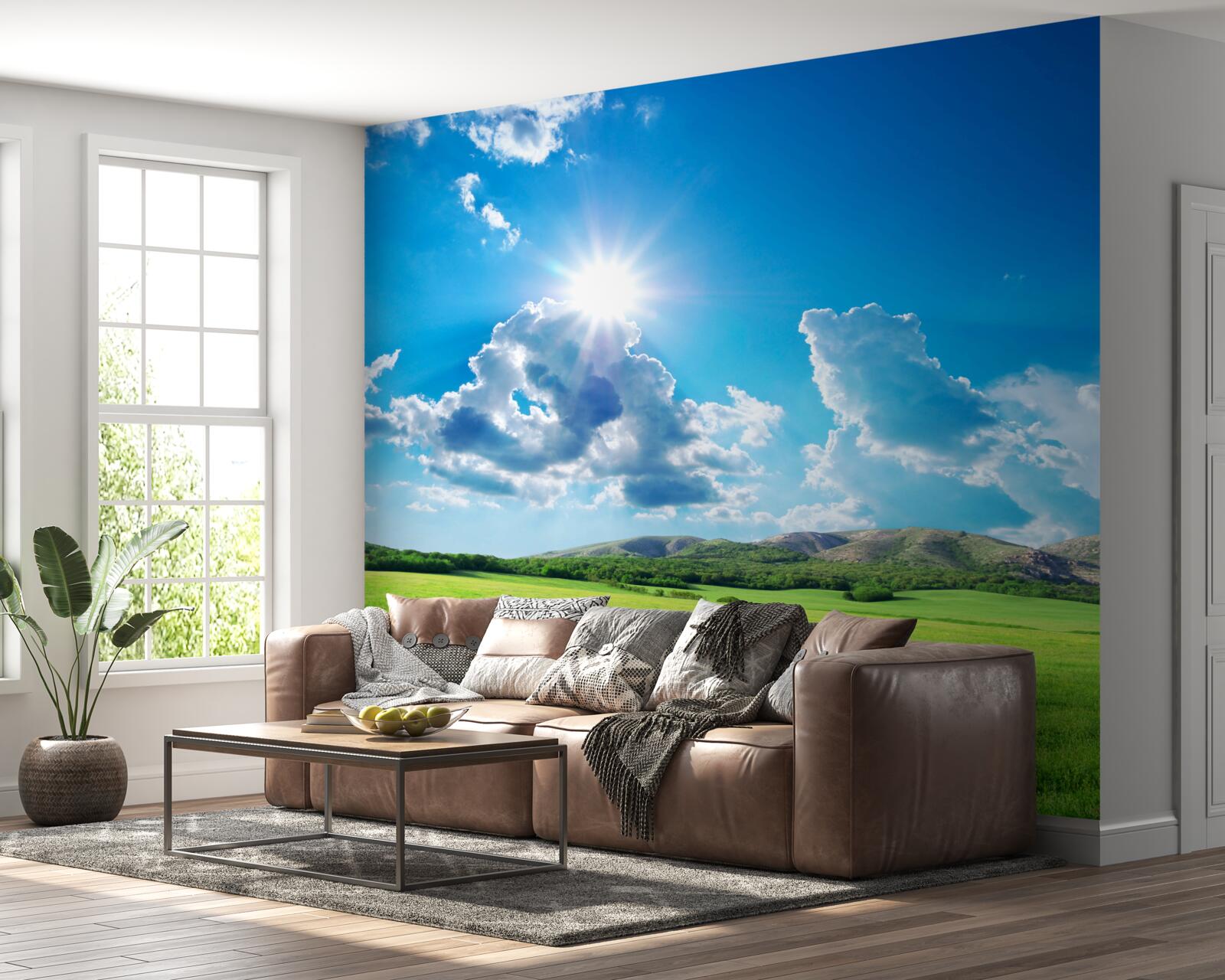 Papier peint une journée d'été lumineuse dans un pré