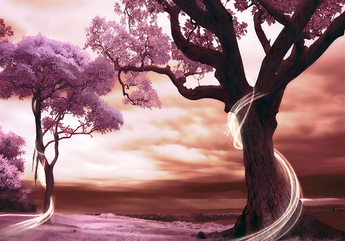 Papier peint des arbres résistants dans le désert, pleins de vie et de beauté