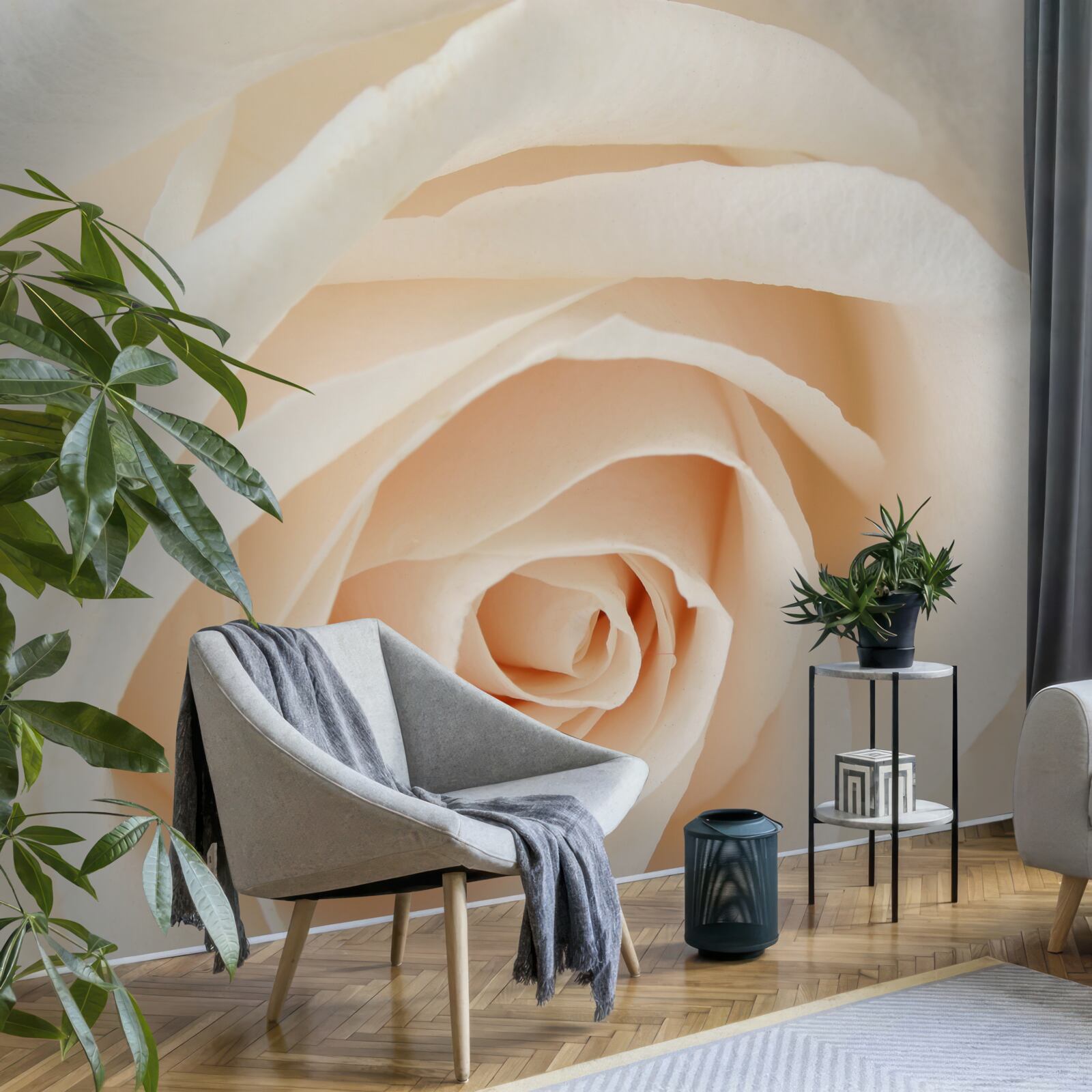 Papier peint rose crème aux pétales souples en pleine gloire