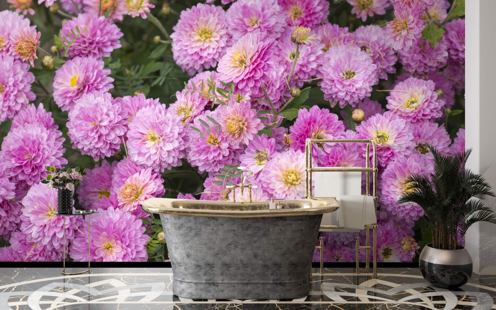 Papier peint de beaux gerberas avec des marguerites lilas brillantes