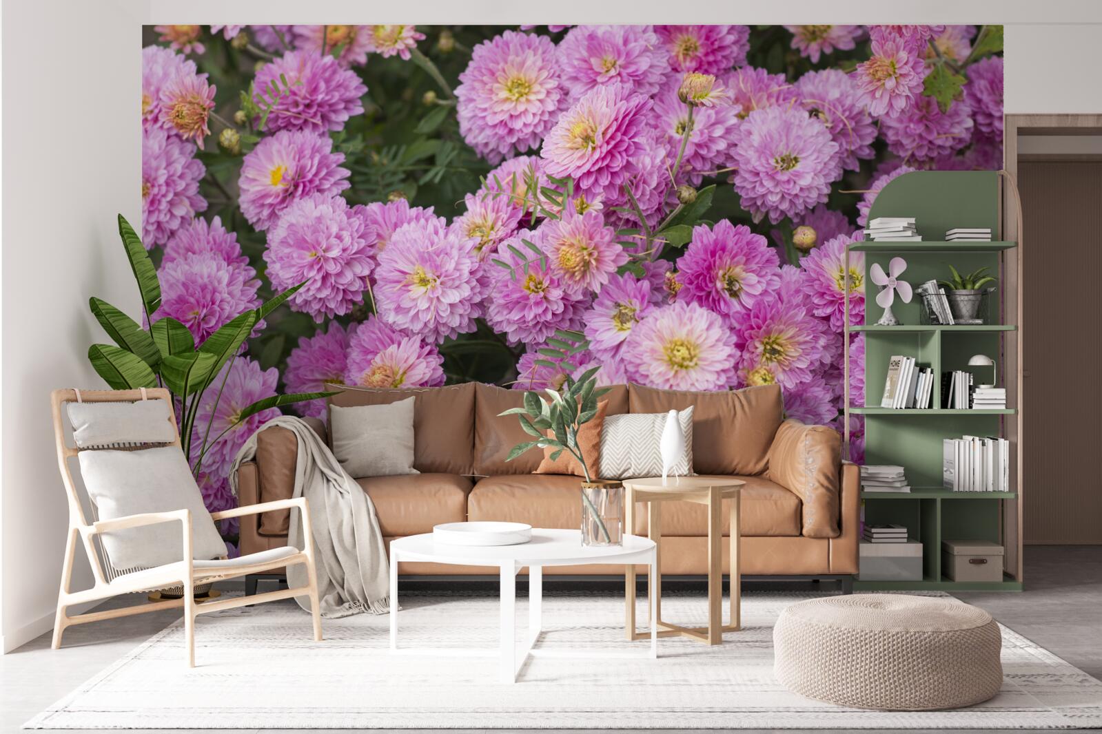 Papier peint de beaux gerberas avec des marguerites lilas brillantes