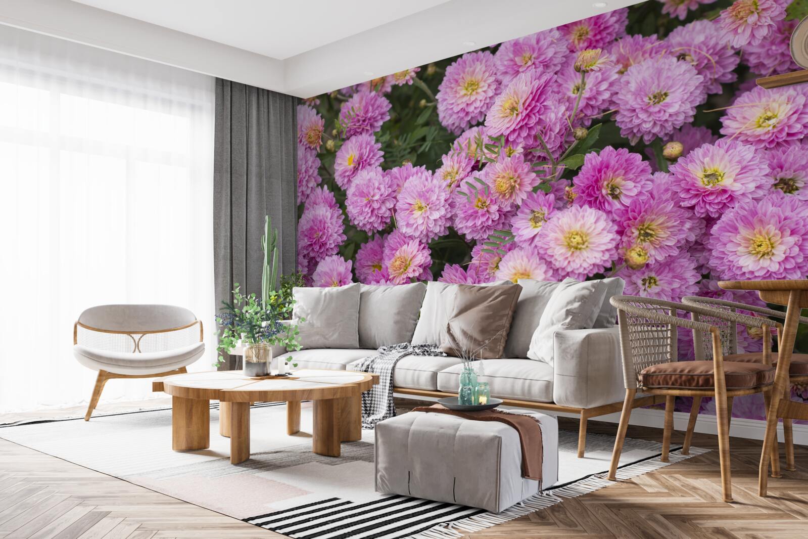 Papier peint de beaux gerberas avec des marguerites lilas brillantes