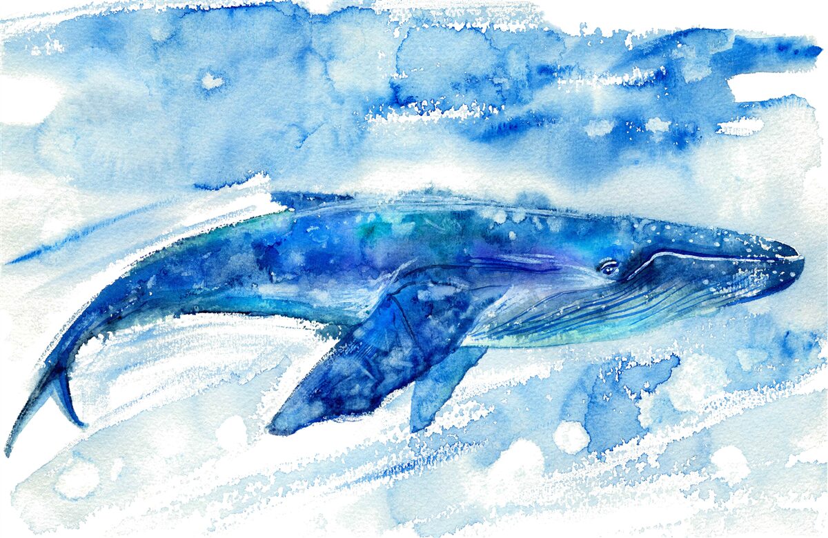 Papier peint aquarelle représentant une baleine bleue