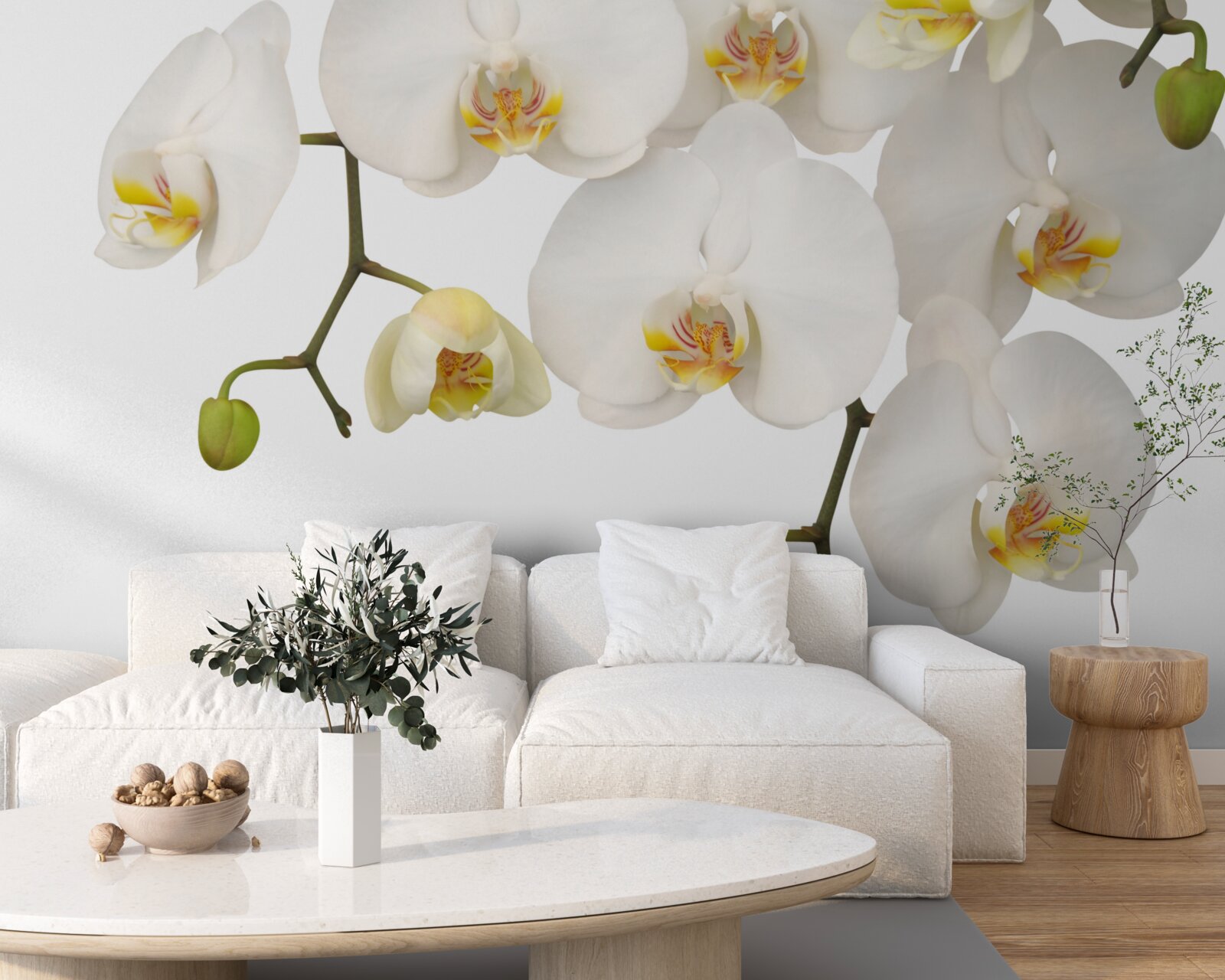 Papier peint orchidées suspendues à fleurs blanches