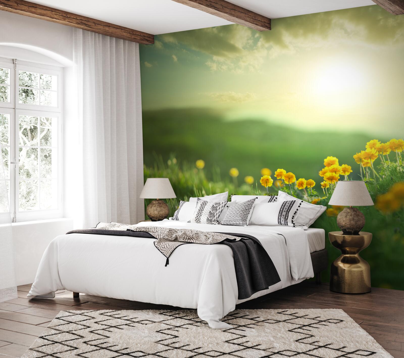 Papier peint dans une prairie, des pissenlits dorés observent le lever du soleil