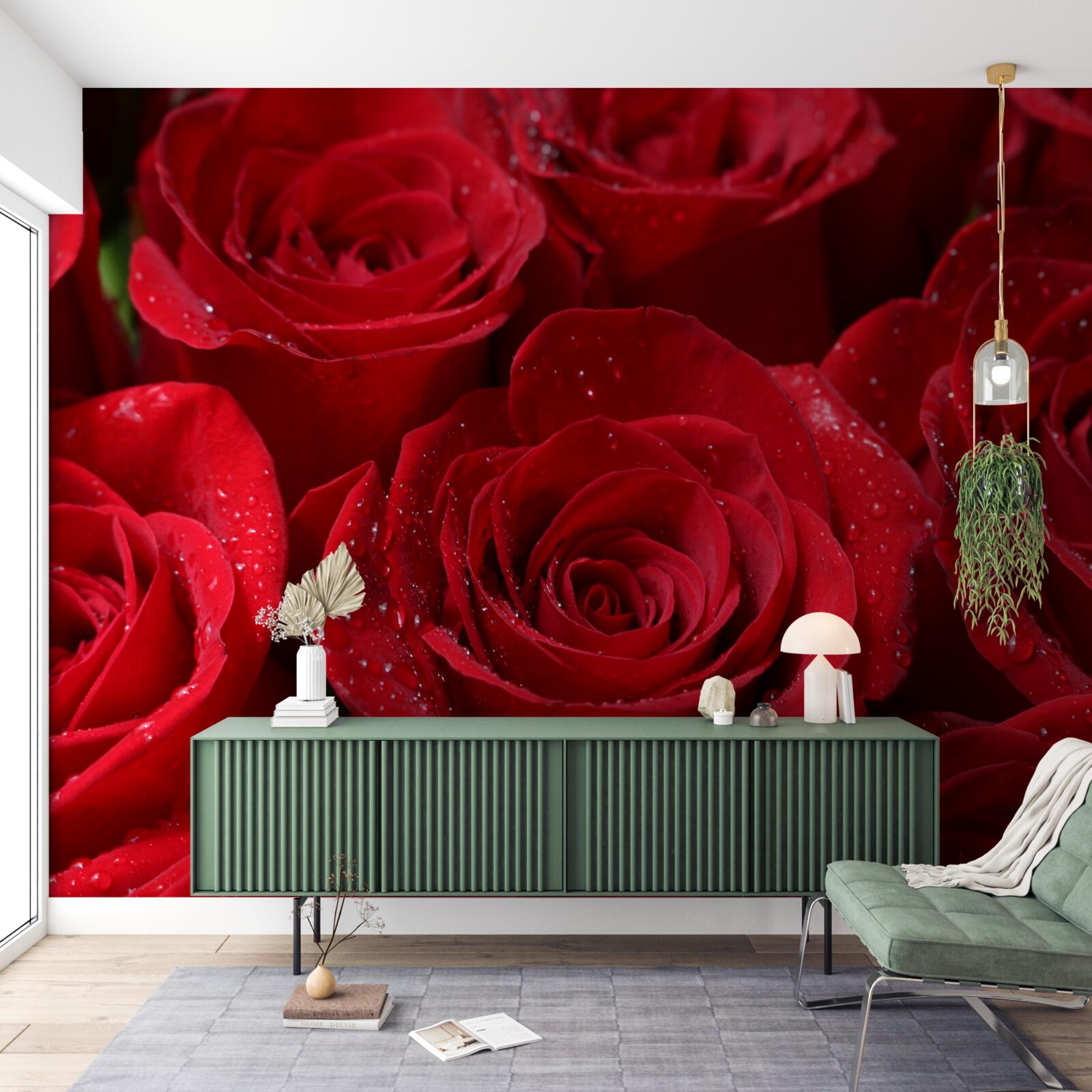 Papier peint boutons de rose d'une riche teinte écarlate