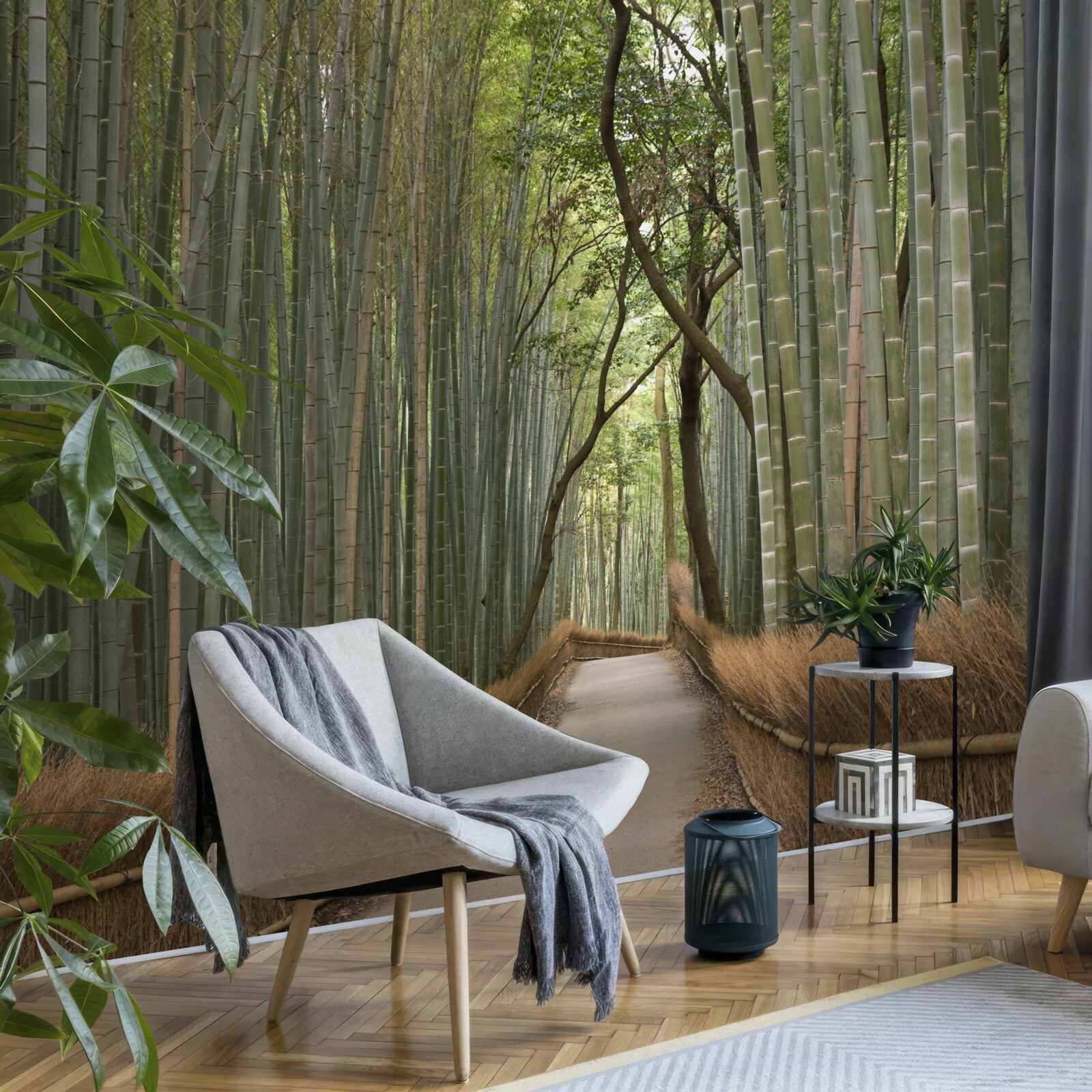 Papier peint un sentier étroit et solitaire serpente à travers une forêt de bambous