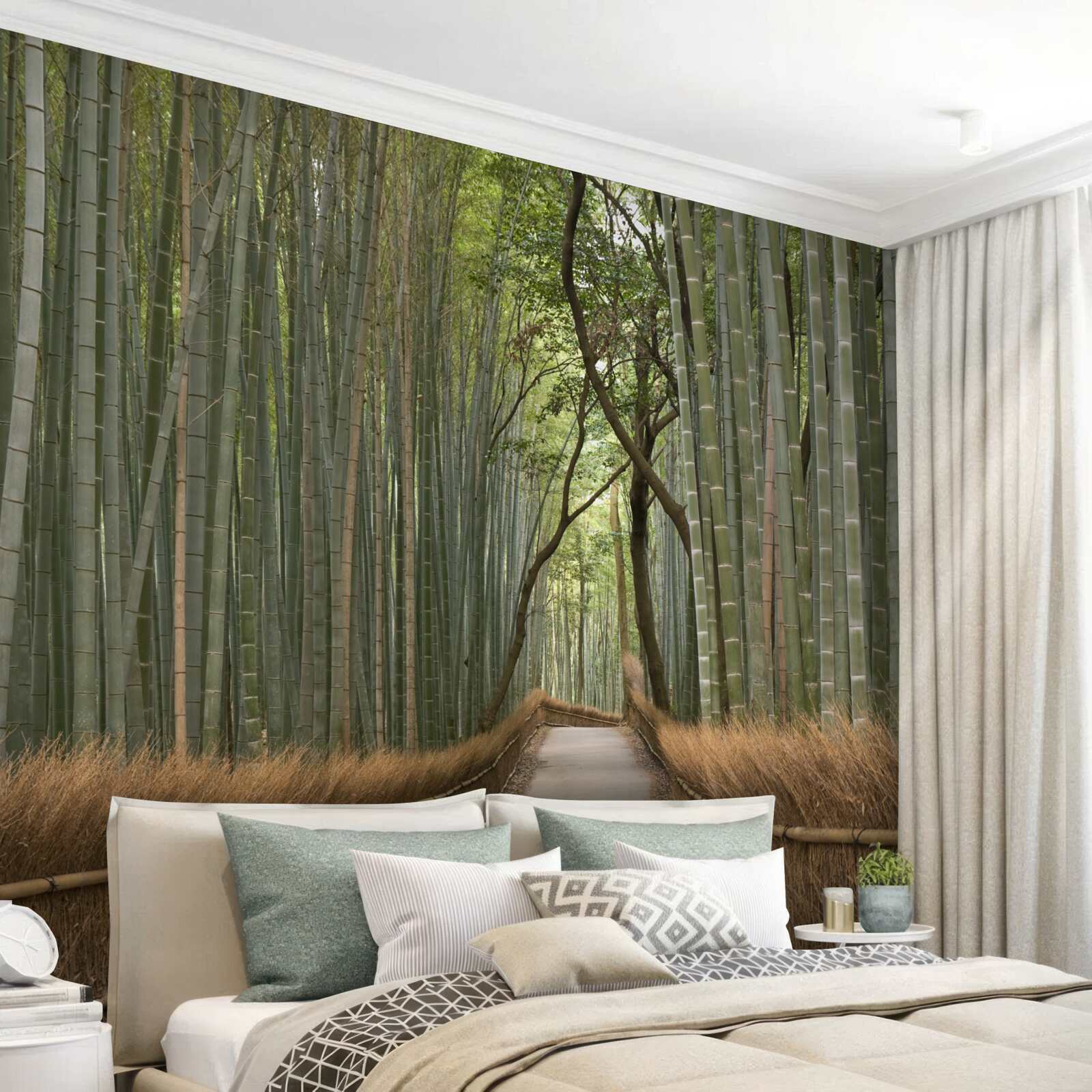 Papier peint un sentier étroit et solitaire serpente à travers une forêt de bambous