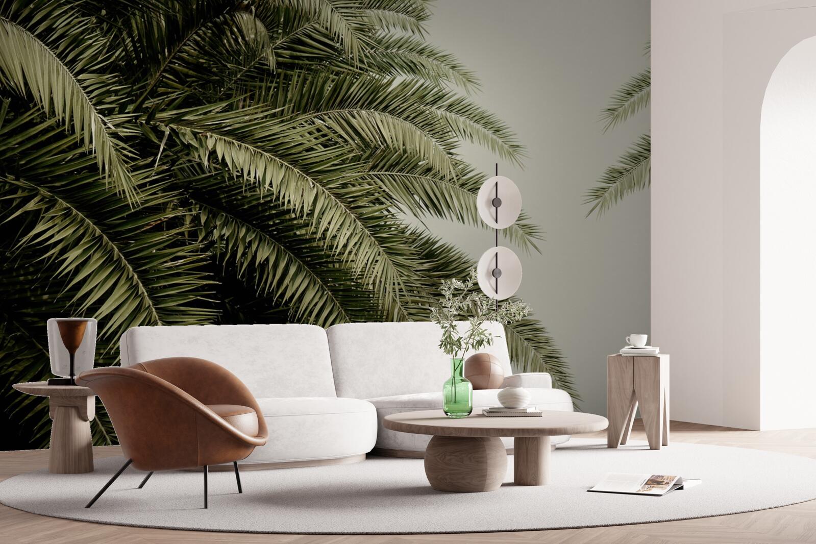 Papier peint feuilles de fougère densément couvertes d'humidité lorsqu'il pleut