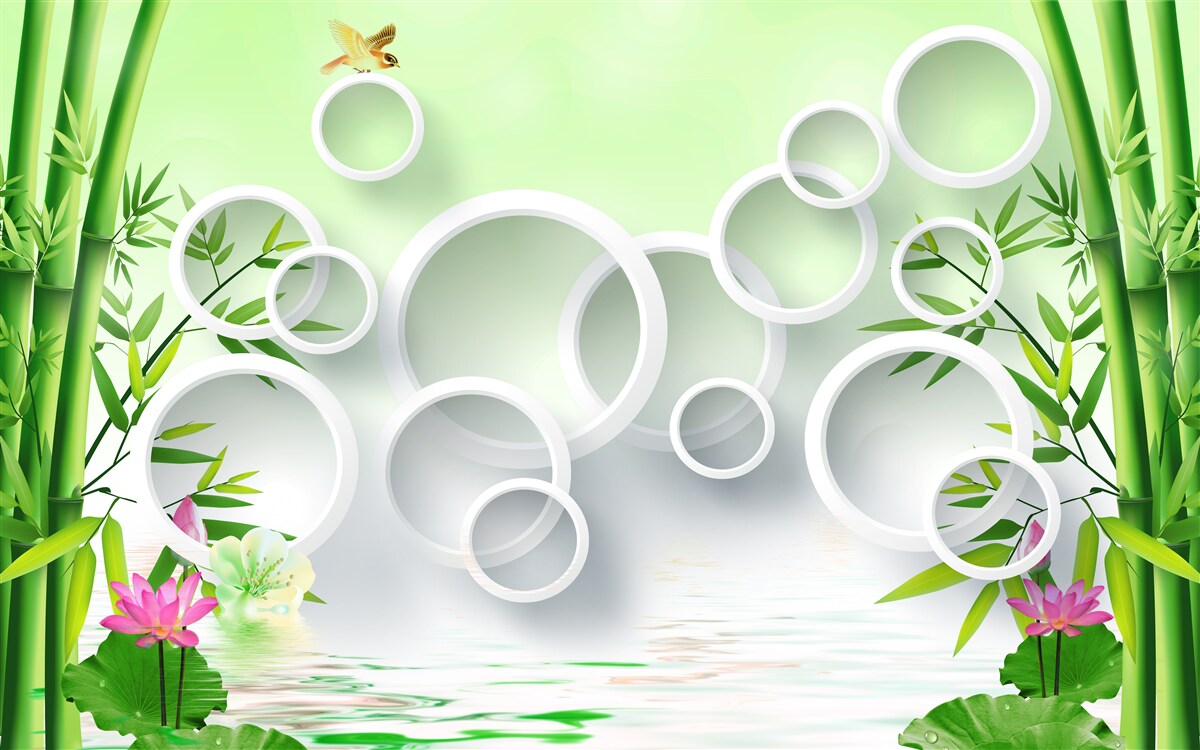 Papier peint bambou vert fin et cercles blancs