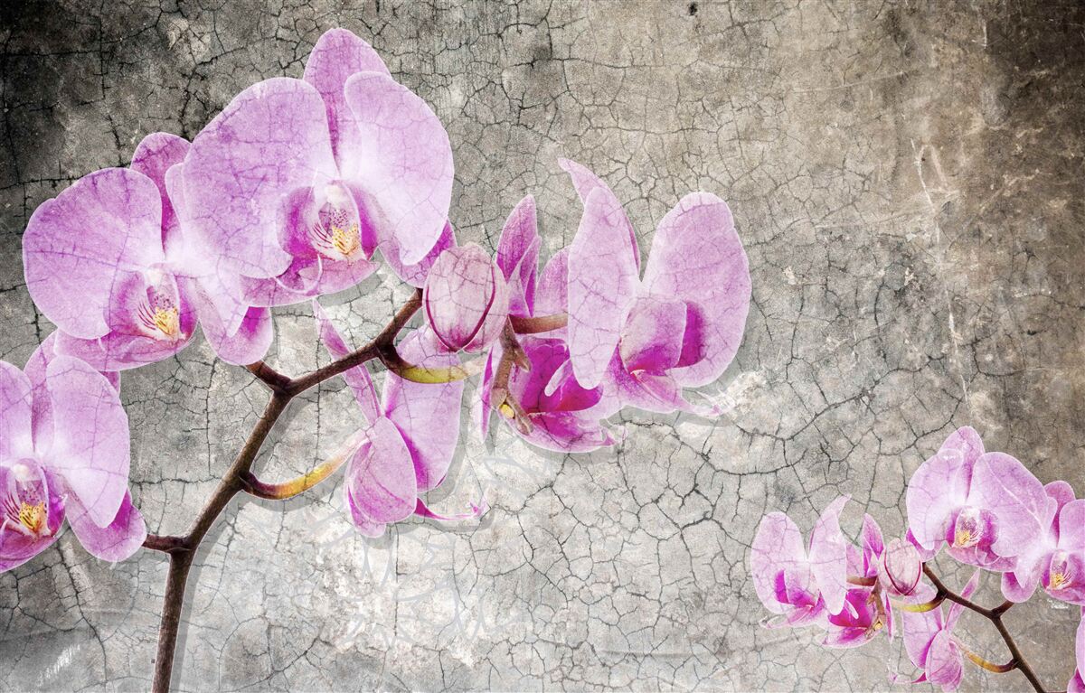 Papier peint branches d'orchidées lilas sur fond gris