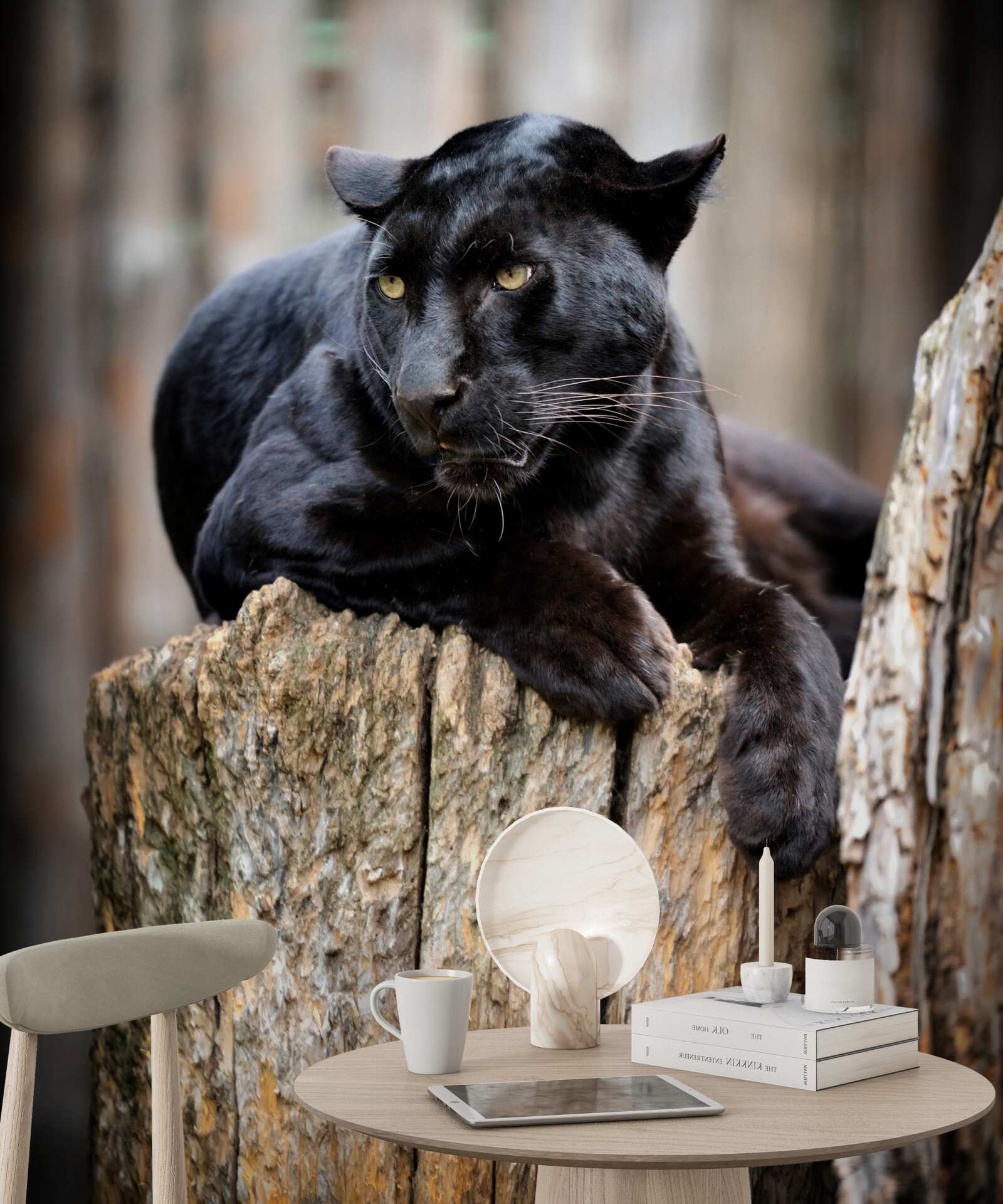 similar product image