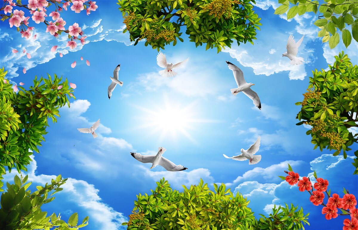 Papier peint les oiseaux de la forêt profitent d'une journée ensoleillée