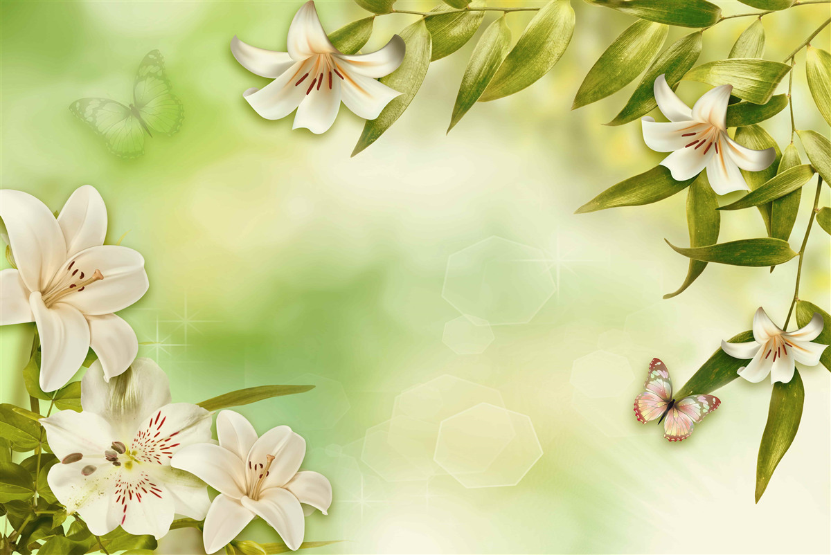 Papier peint fleurs printanières avec papillons volants