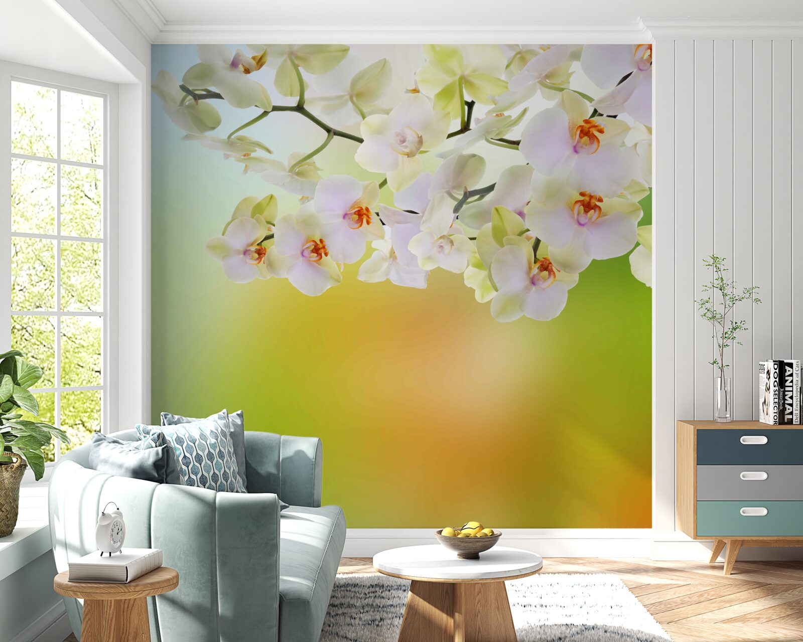 Papier peint des bourgeons blancs comme neige et des orchidées fleurissent sur les branches