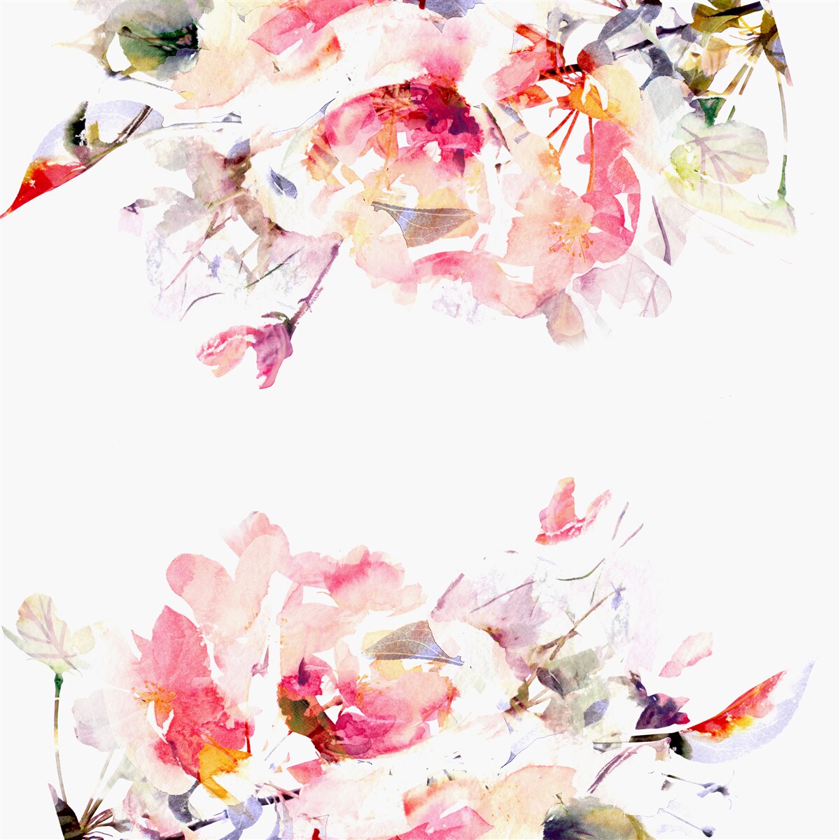 Papier peint aquarelle représentant des papillons et des fleurs blanches