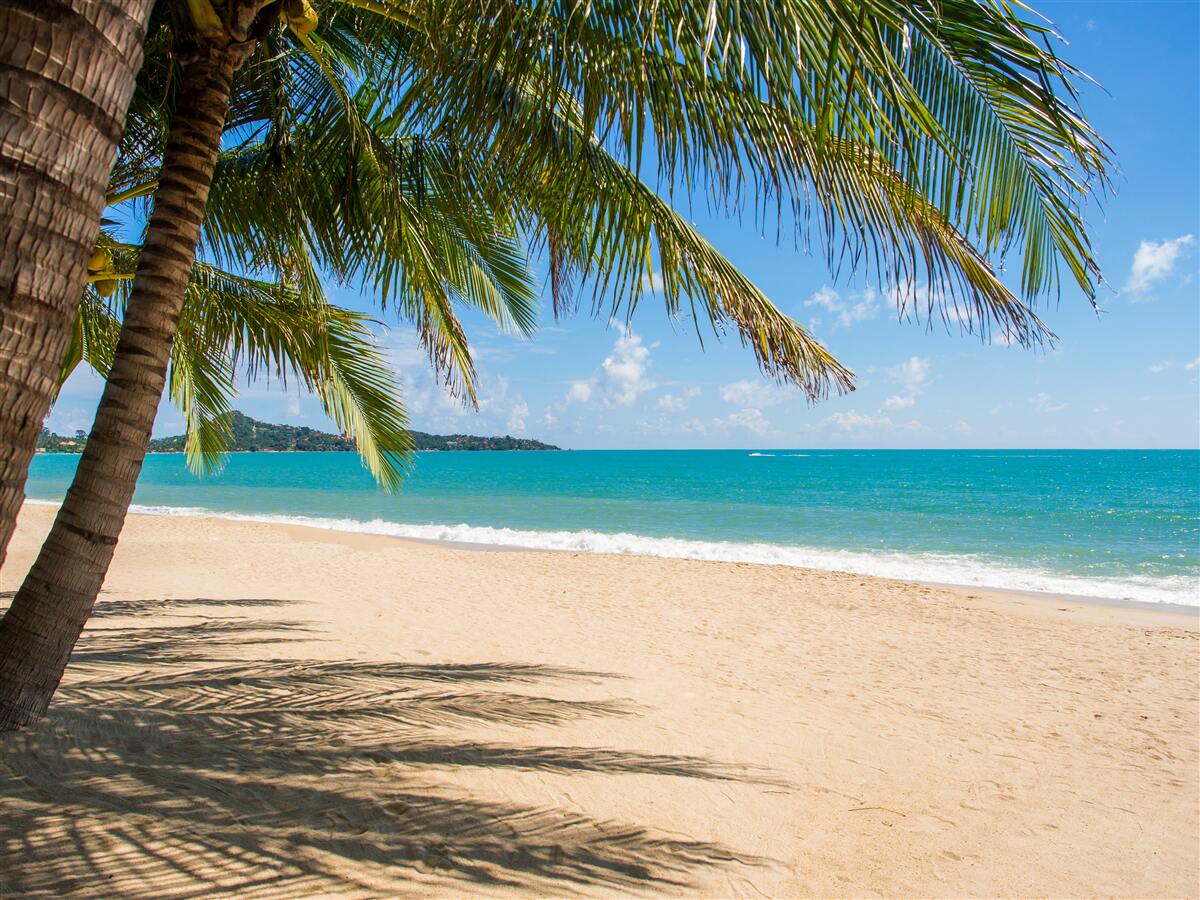 Papier peint plage de rêve isolée