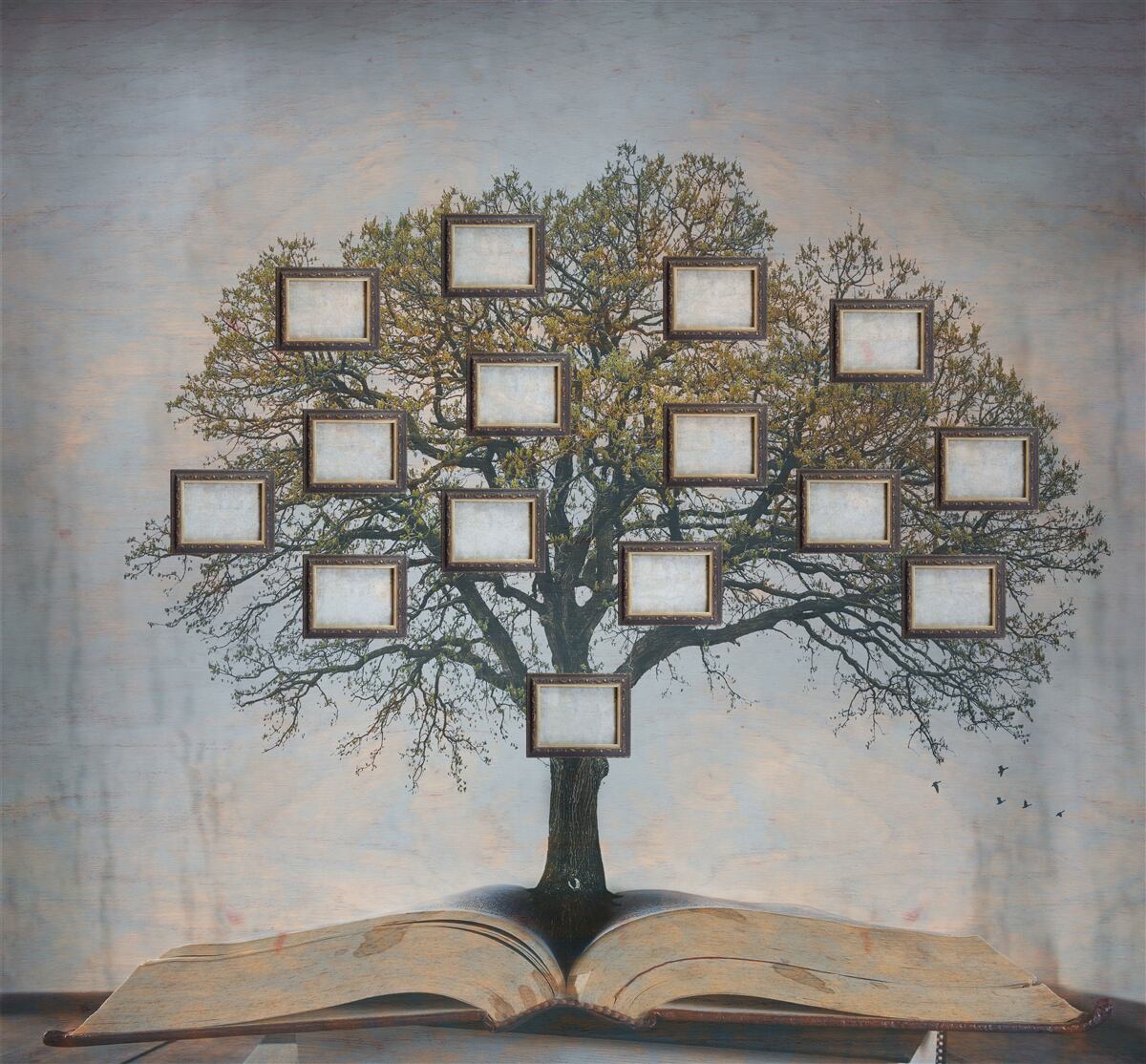 Papier peint arbre généalogique sans photos