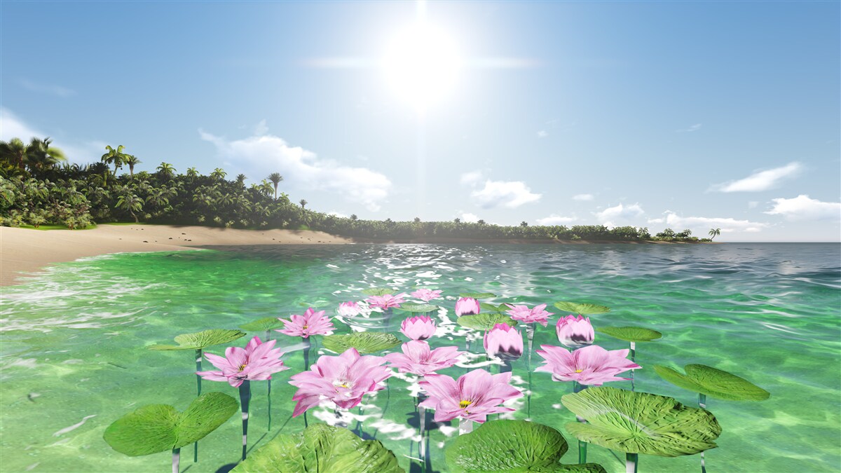 Papier peint lotus roses à la surface de l'eau