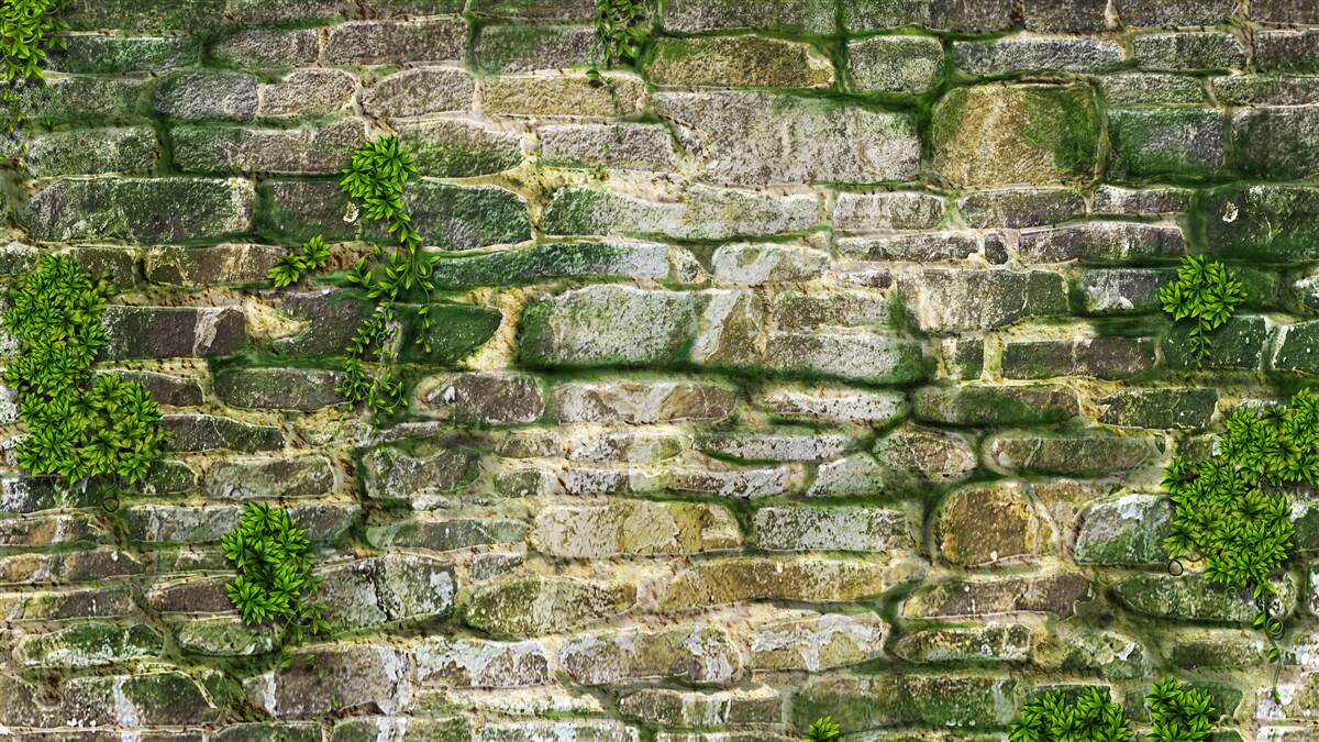 Papier peint vieille pierre couverte de mousse