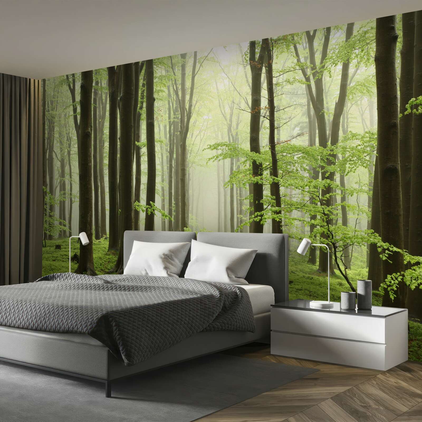 Papier peint arbres dans une forêt dense