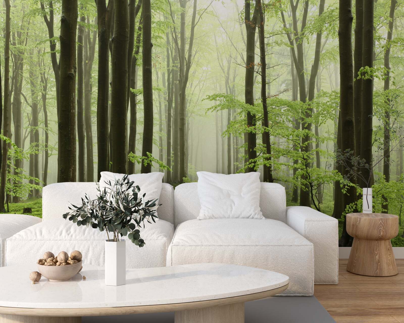 Papier peint arbres dans une forêt dense