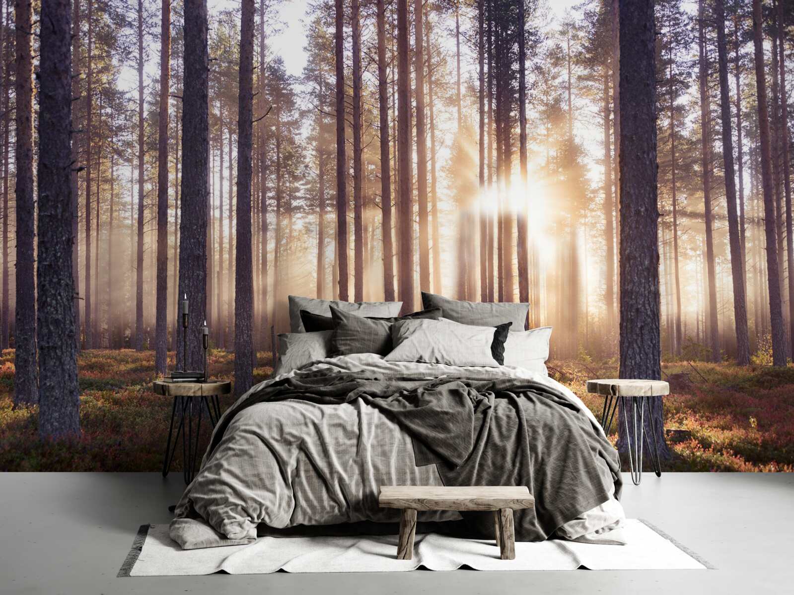 Papier peint matinée dans la forêt