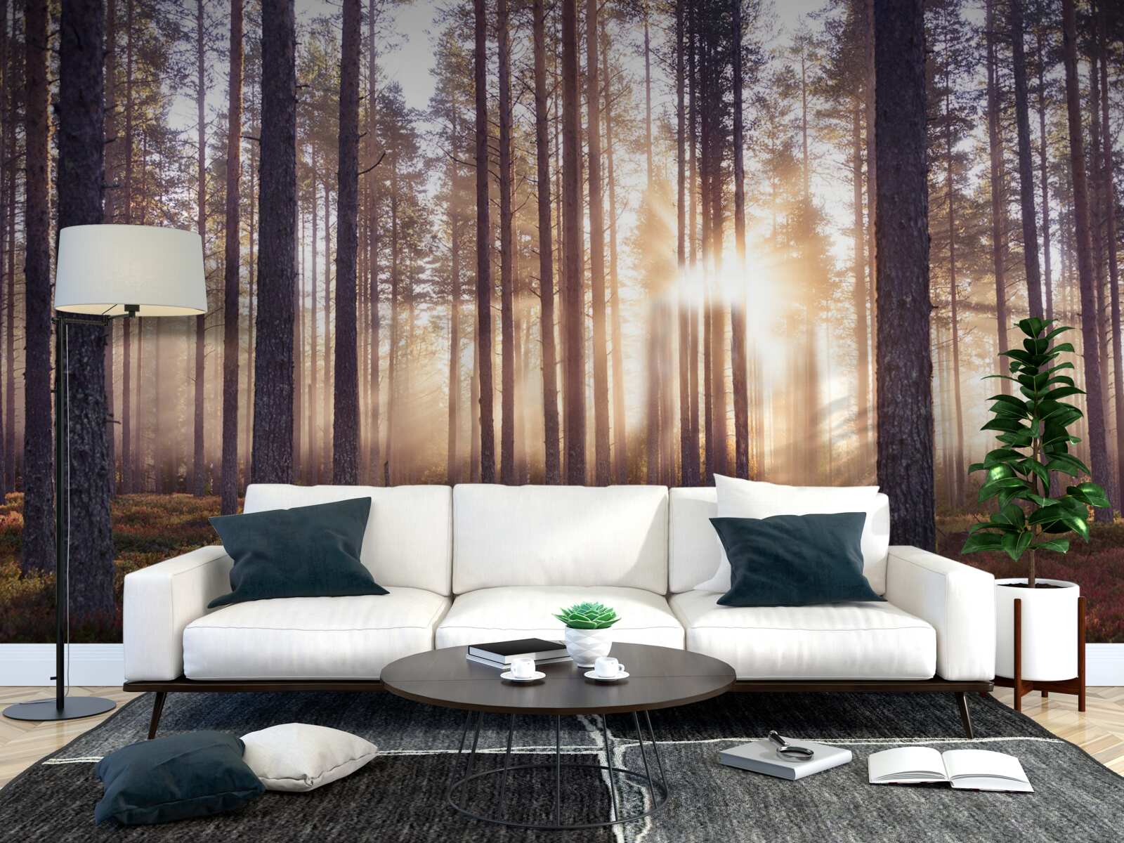 Papier peint matinée dans la forêt