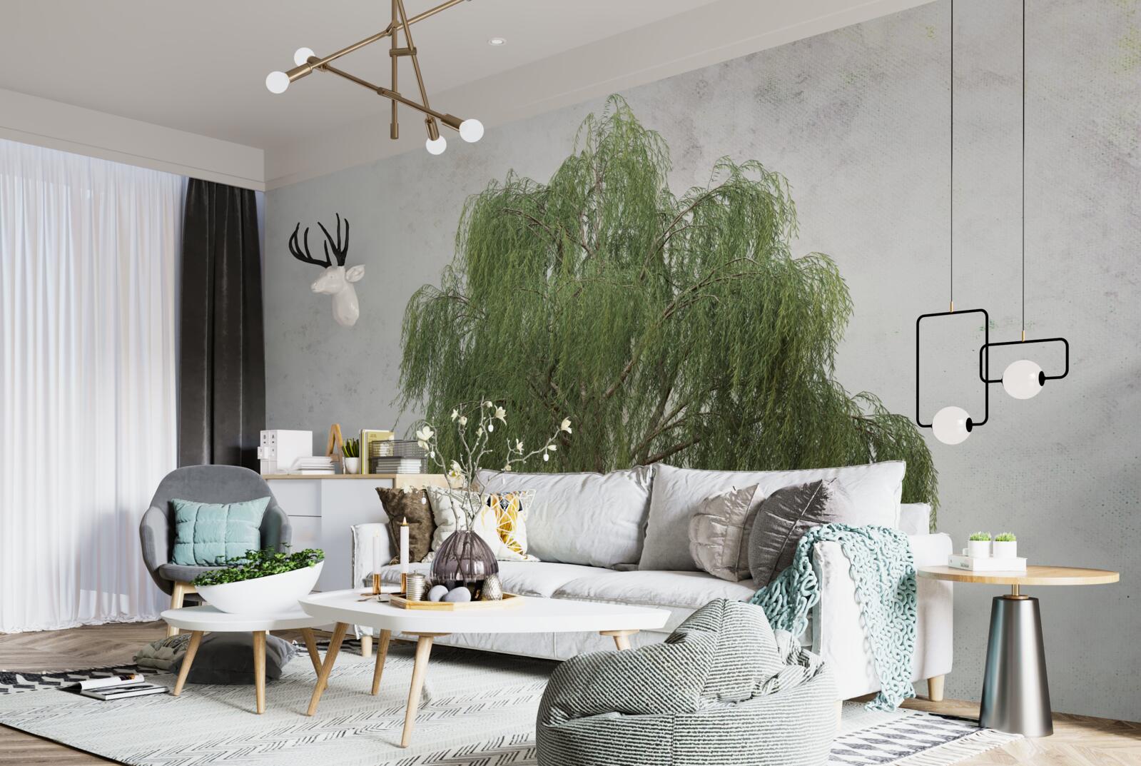 Papier peint saule pleureur