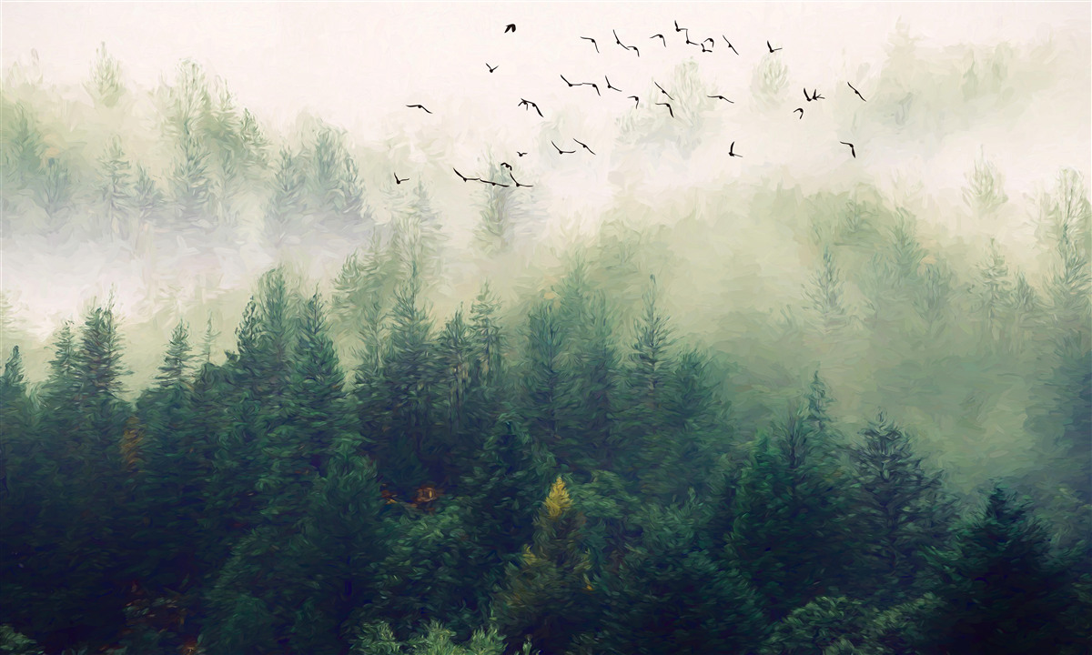 Papier peint les oiseaux survolent la forêt dans l'air brumeux
