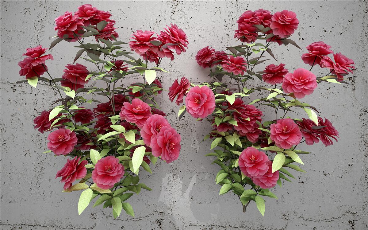 Papier peint fleurs roses avec feuilles vertes