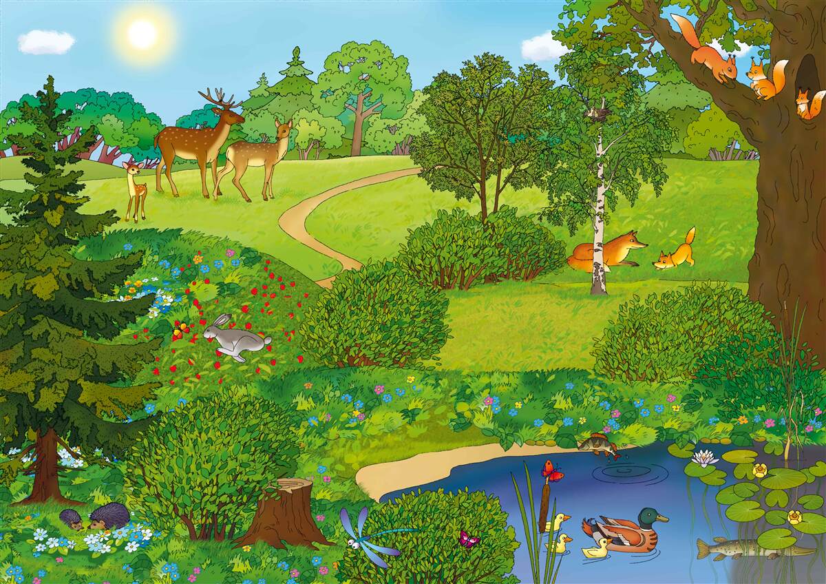 Papier peint des animaux se promènent dans une clairière