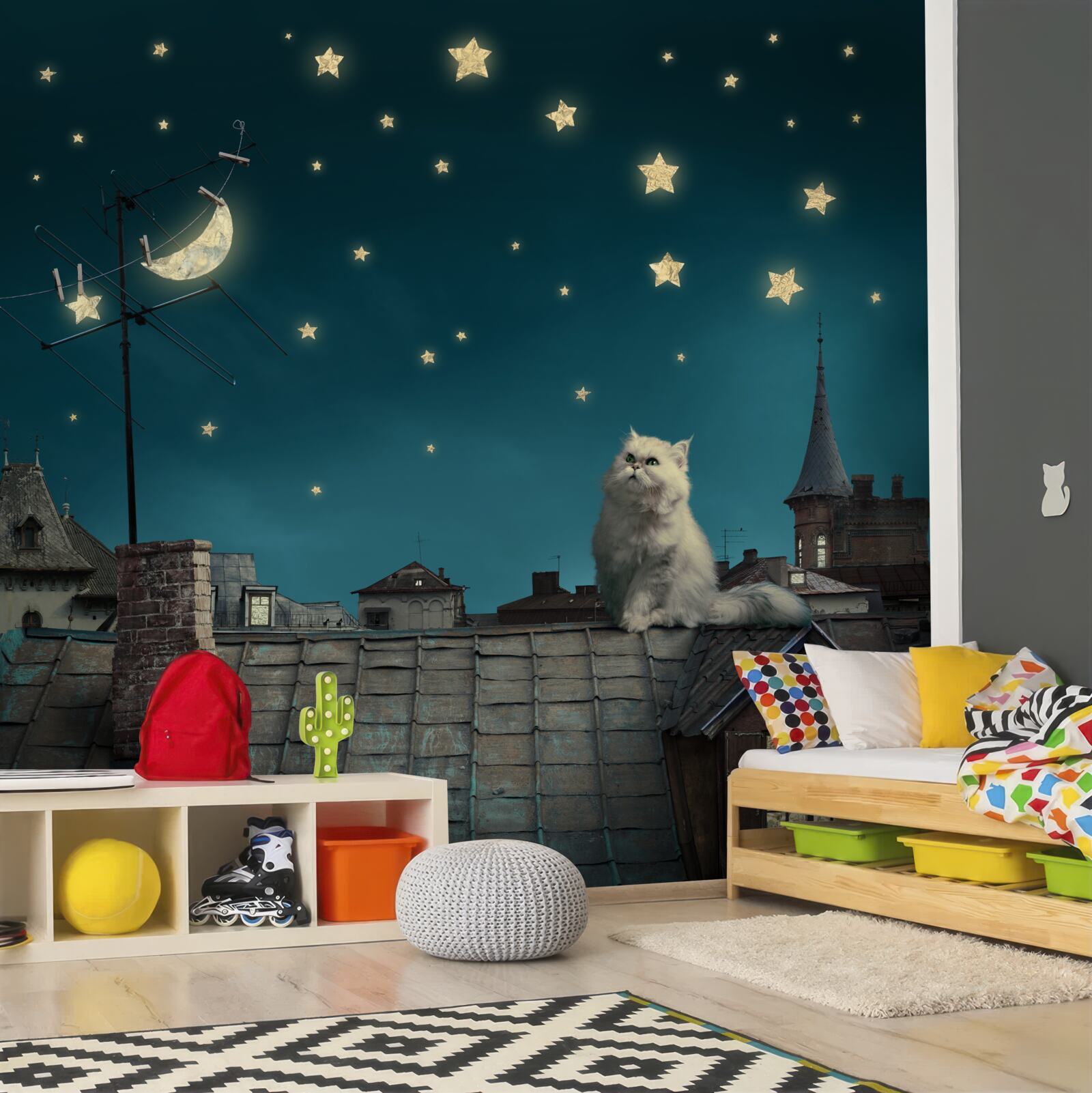 Papier peint la nuit, il y a un chat blanc sur le toit