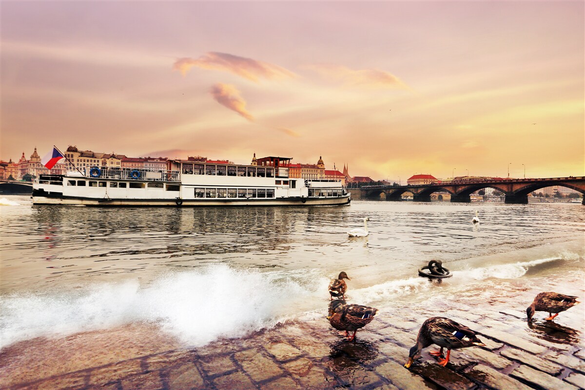 Papier peint canards près de l'étang