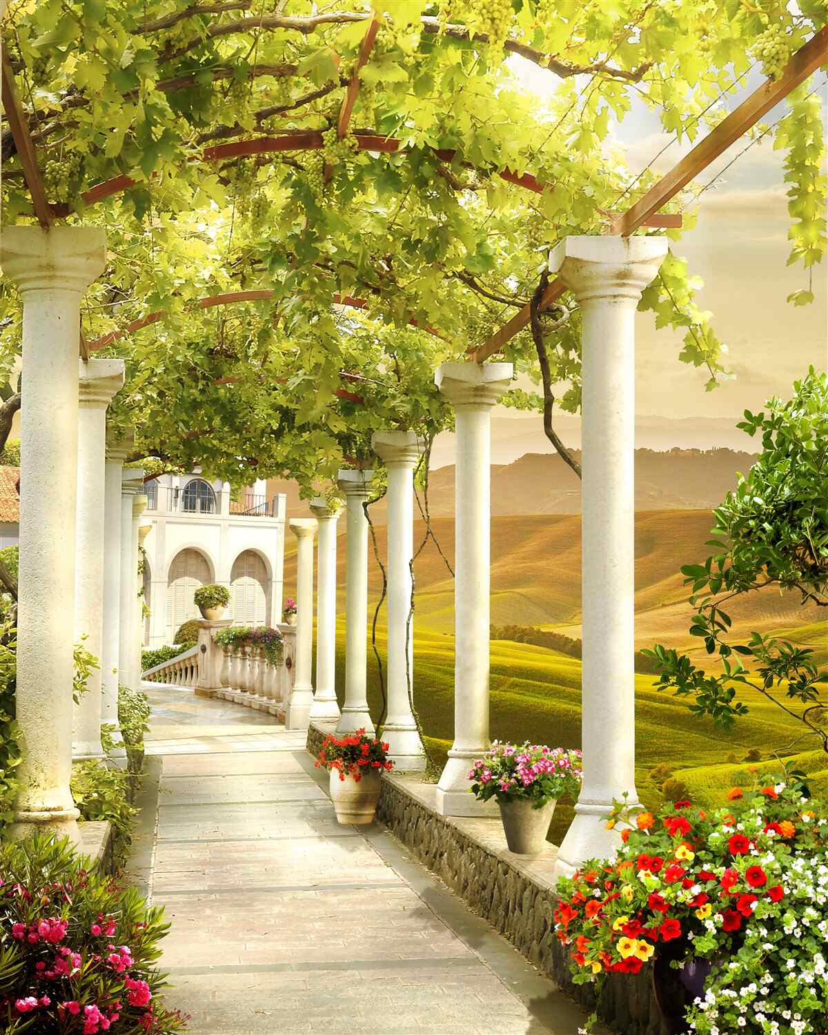 Papier peint les vignes s'enroulent autour des colonnes