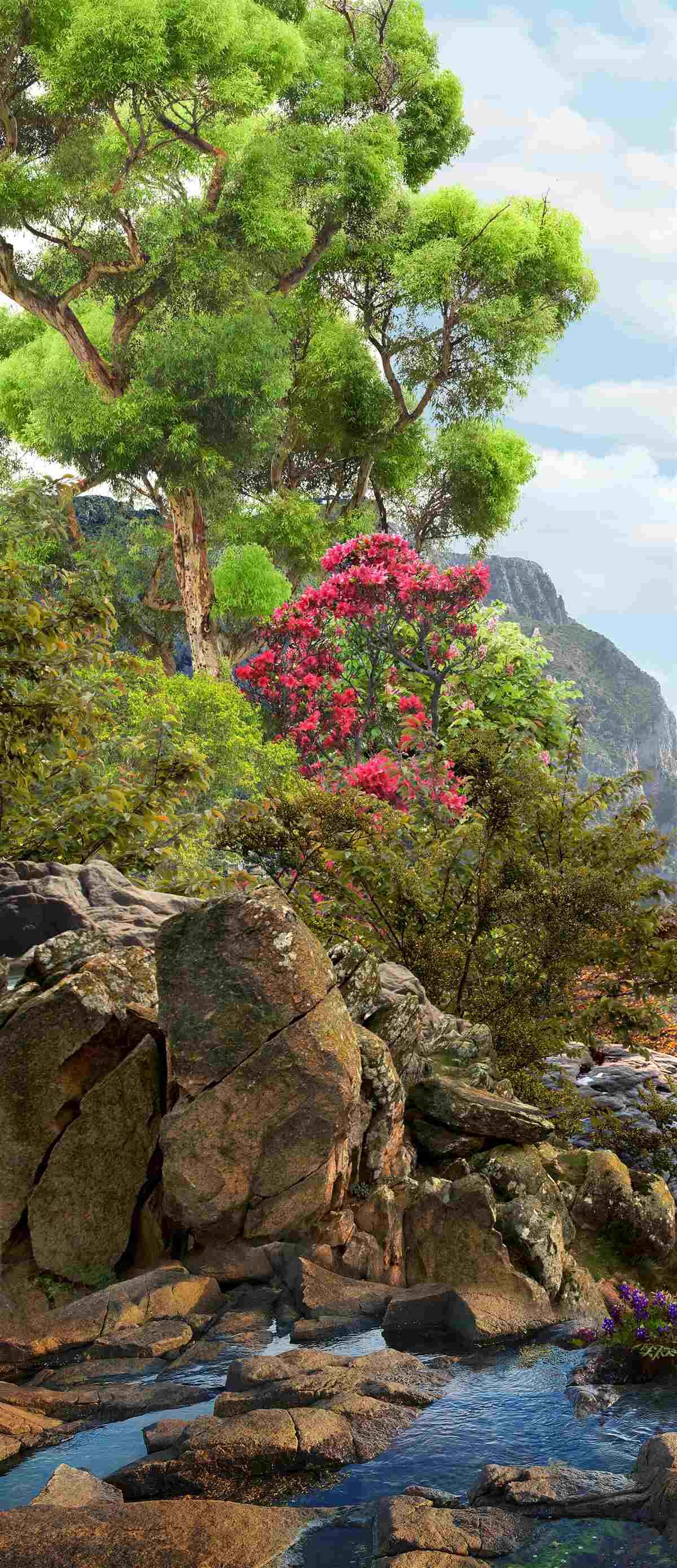 Papier peint herbe et ruisseau de montagne