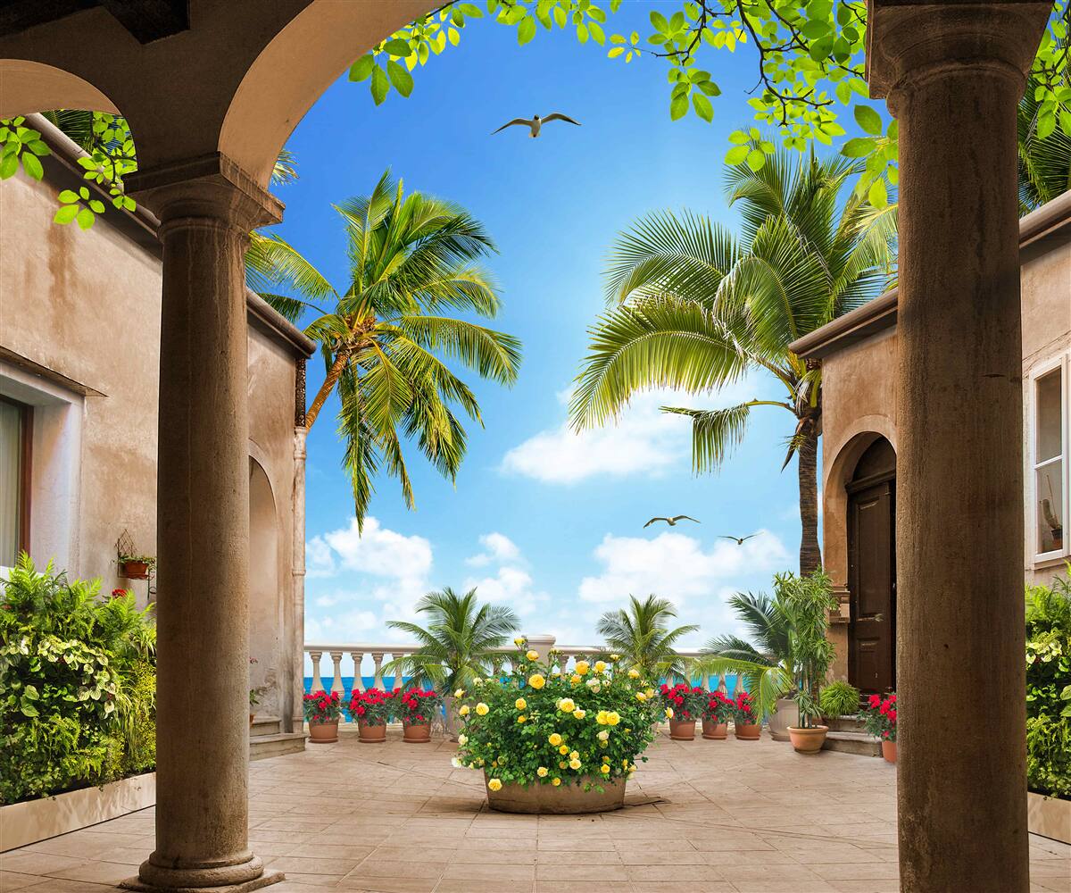 Papier peint terrasse décorée de plantes vertes