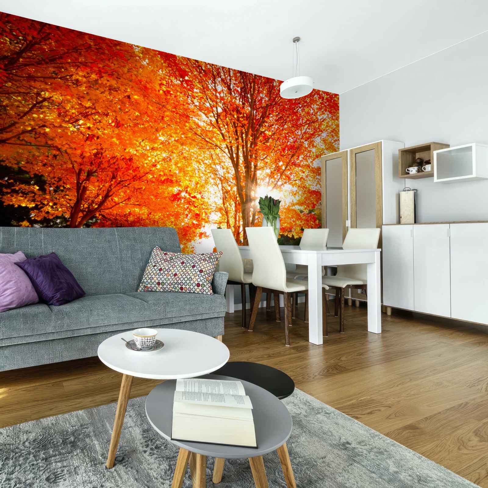 Papier peint forêt aux couleurs de l'automne