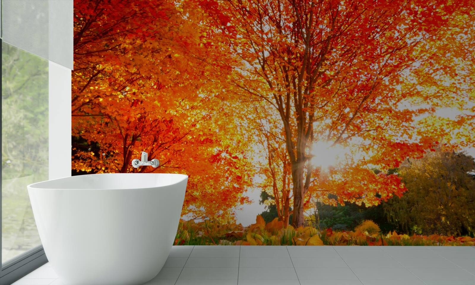 Papier peint forêt aux couleurs de l'automne