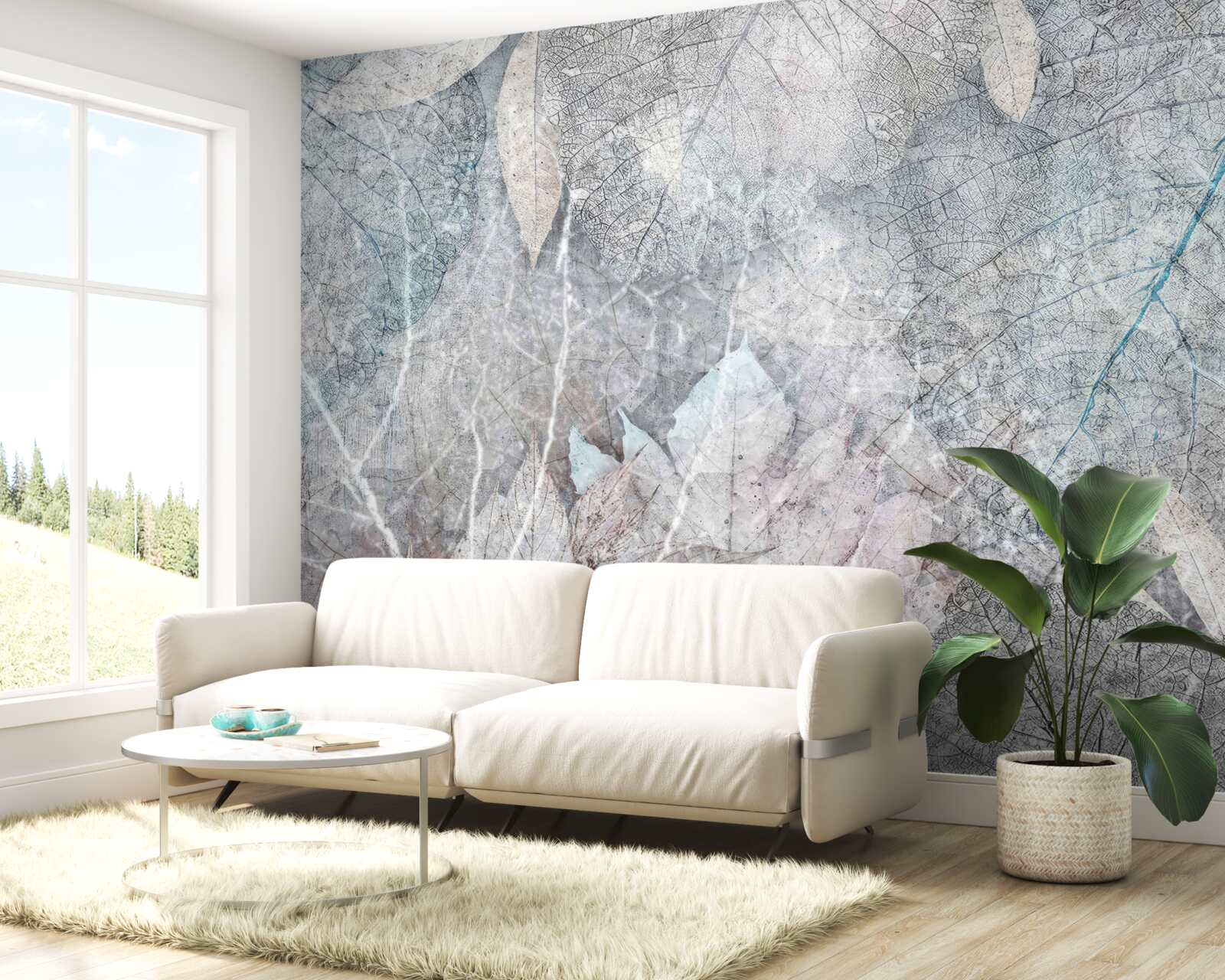 Papier peint collection de plantes séchées sur fond gris