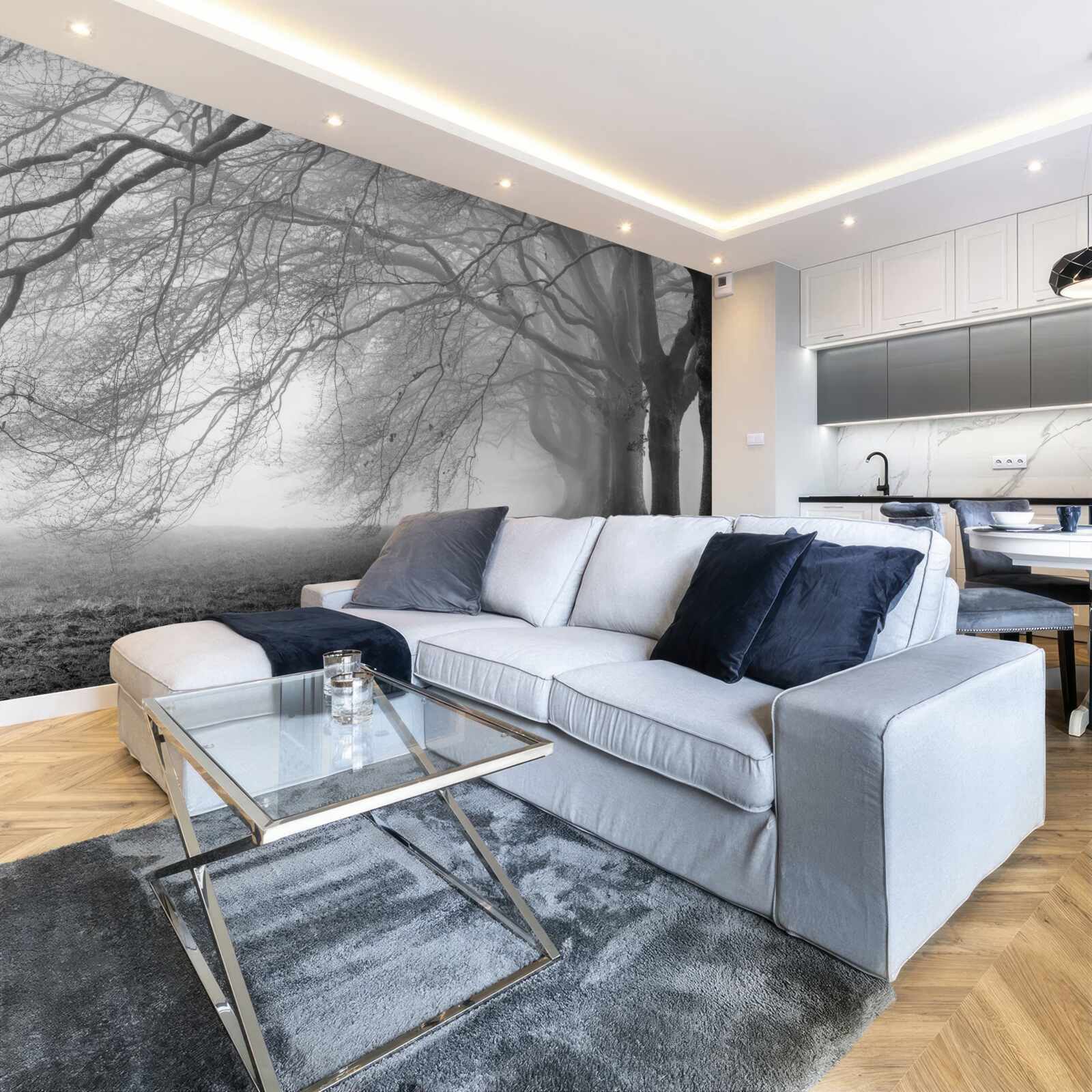 Papier peint forêt brumeuse couverte d'arbres