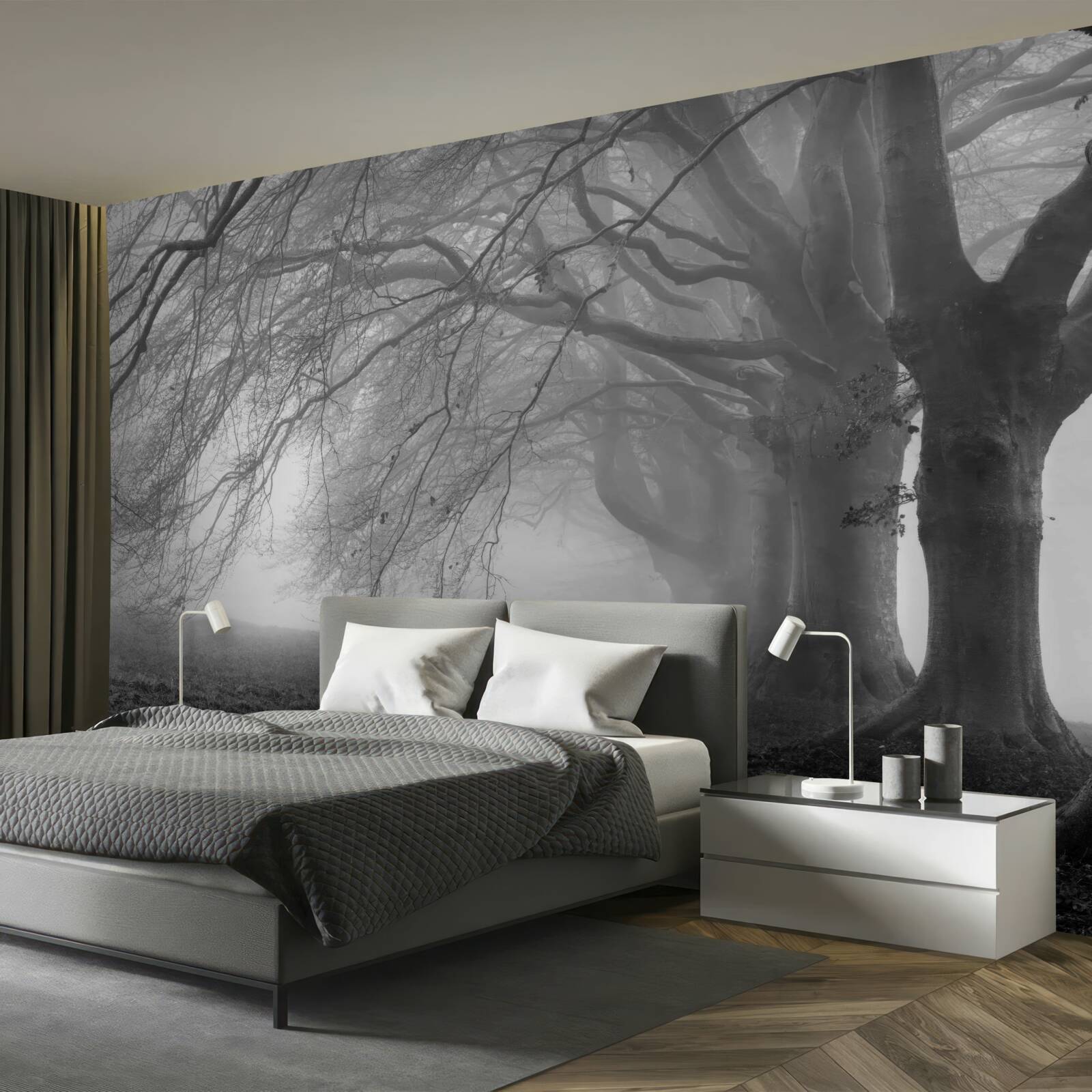 Papier peint forêt brumeuse couverte d'arbres