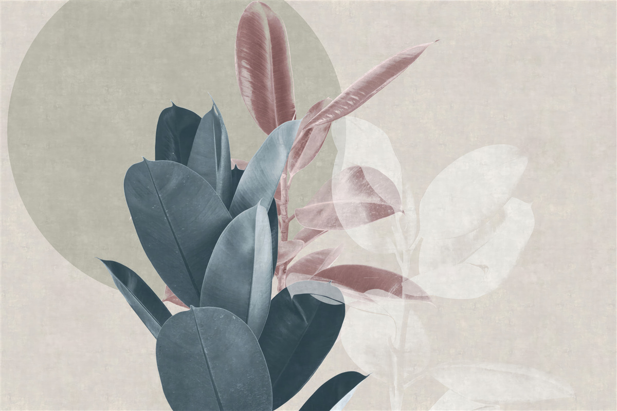 Papier peint figuier contre un mur gris