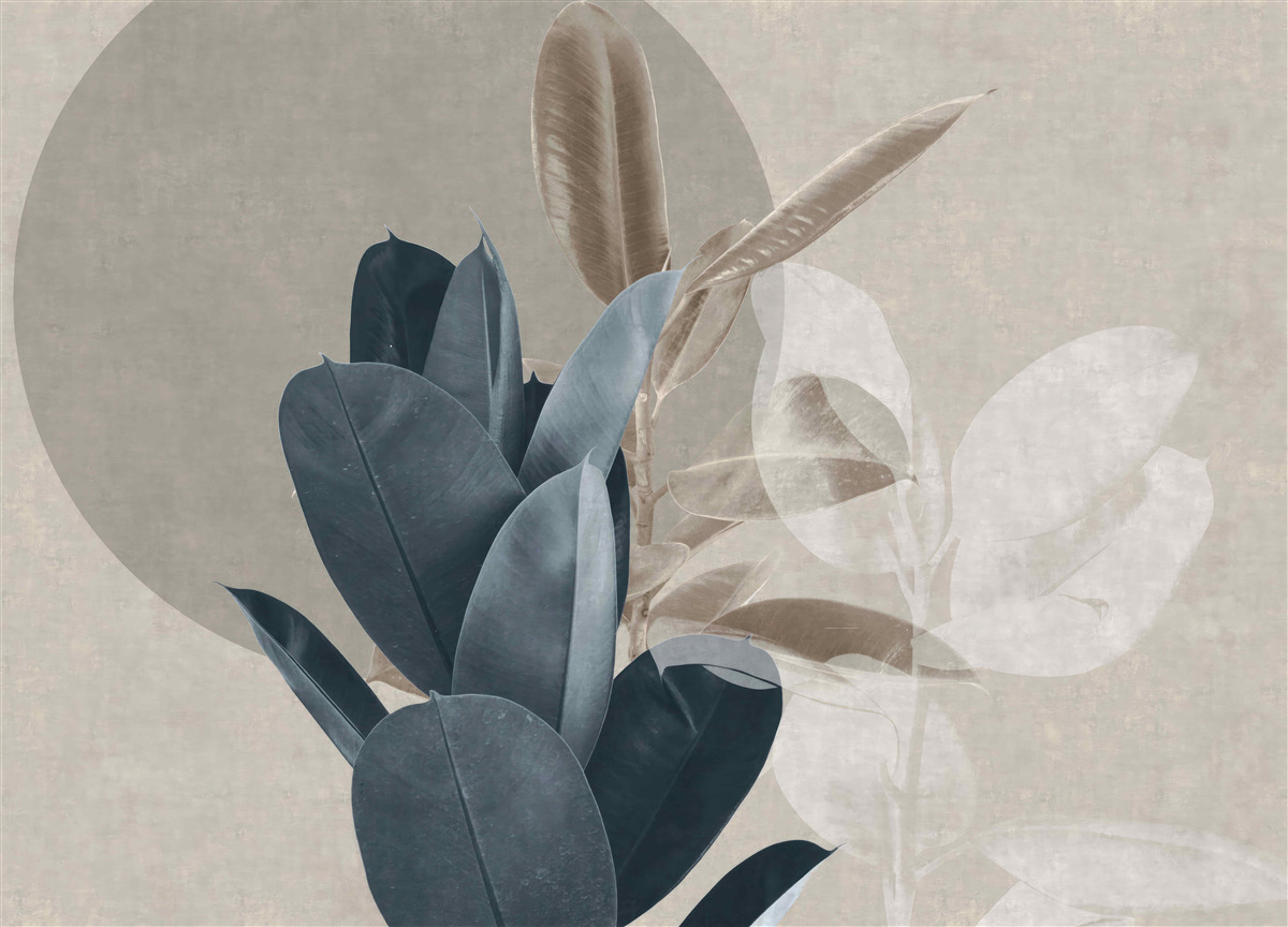 Papier peint plante d'intérieur près du mur