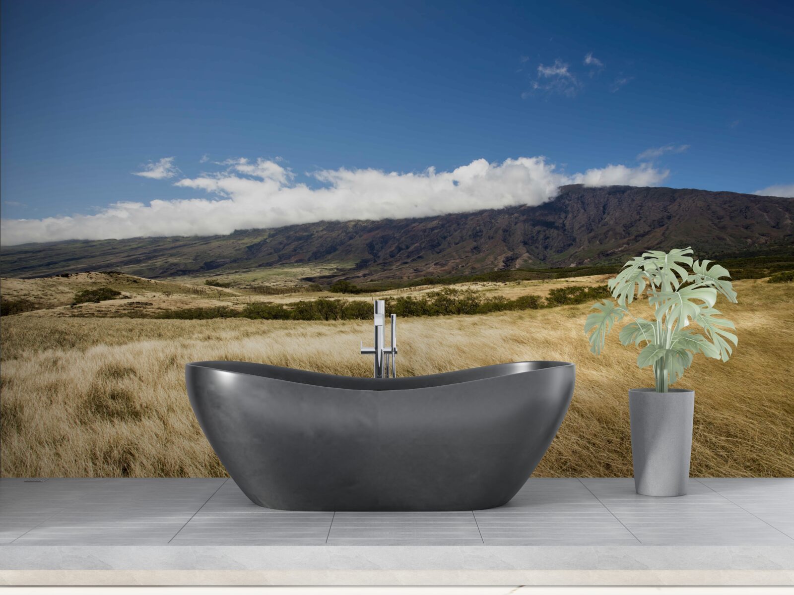 Papier peint savane à l'herbe luxuriante