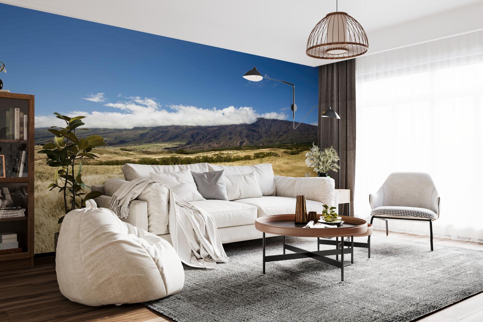 Papier peint savane à l'herbe luxuriante