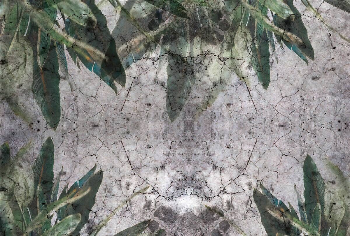 Papier peint Mur de feuilles en béton