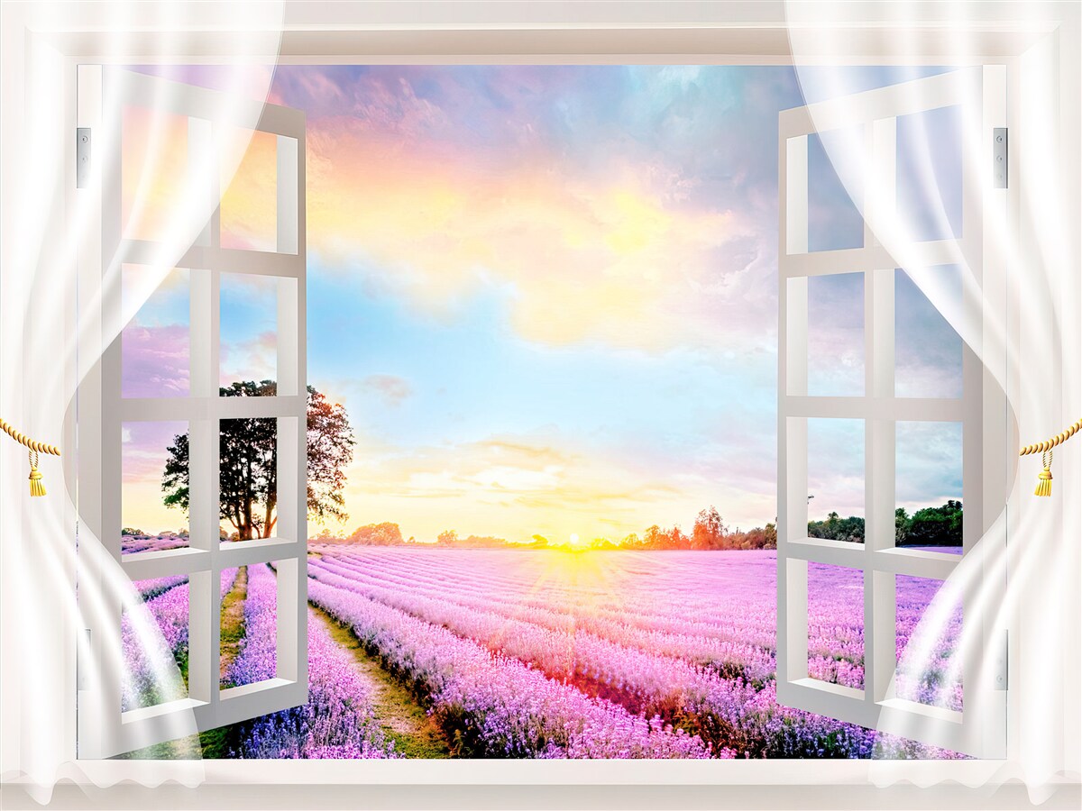 Papier peint panorama d'un champ de lavande depuis la fenêtre