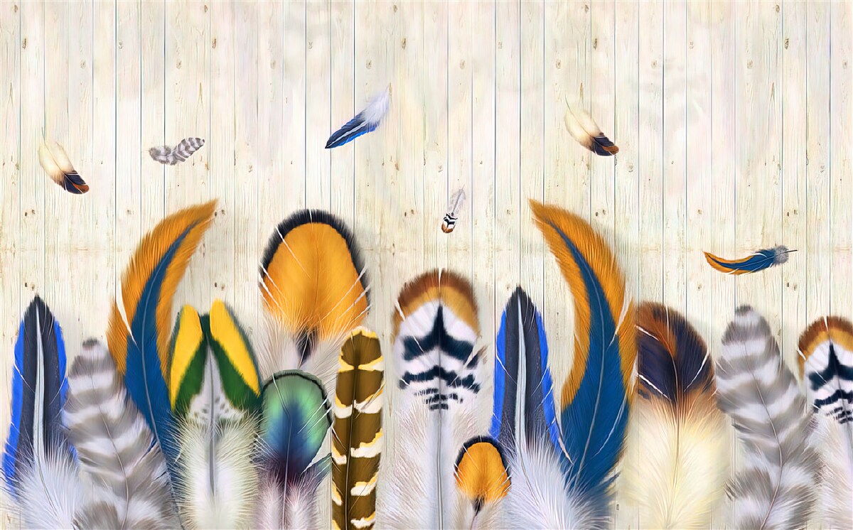 Papier peint plumes d'oiseaux de différents formats et nuances